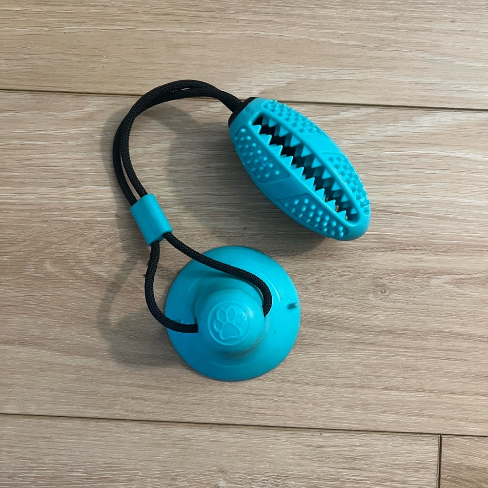 Suction Cup Toy